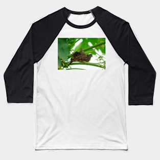 kli 2 turlle dove Baseball T-Shirt